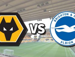 Brighton Siap Jegal Wolves di Piala Liga?