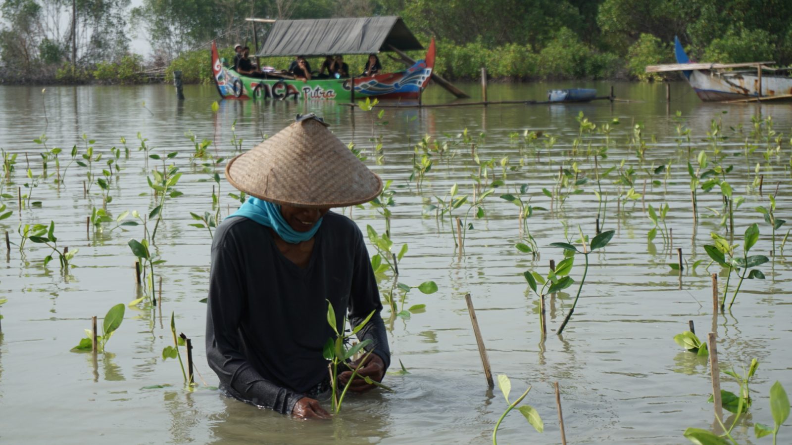 LindungiHutan Gelar Open Forest #2: Tanam Mangrove dan Lestarikan Lingkungan