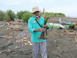 Selamatkan Pesisir Semarang dari Abrasi Lewat Penanaman Mangrove