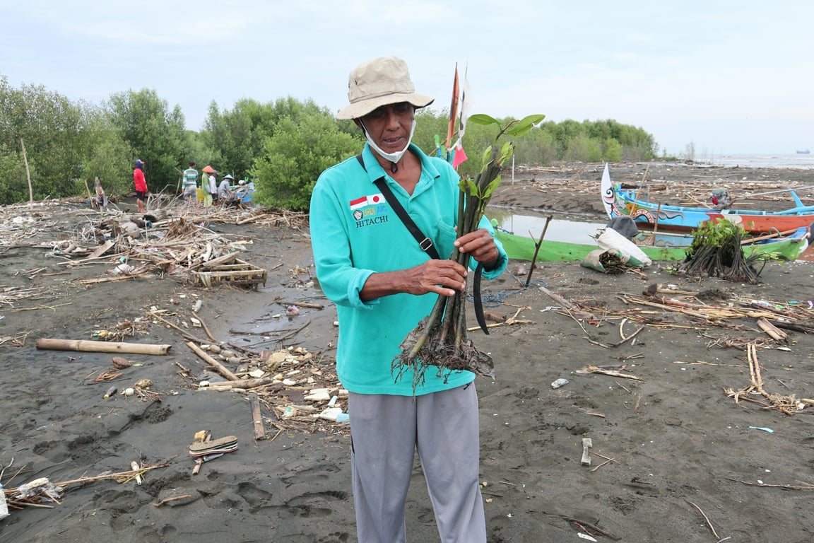 Selamatkan Pesisir Semarang dari Abrasi Lewat Penanaman Mangrove